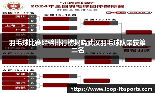 羽毛球比赛经验排行榜揭晓武汉羽毛球队荣获第二名